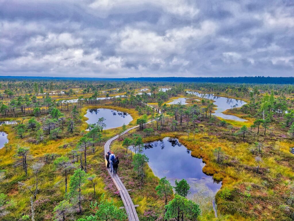 Great Kemeri Bog Boardwalk - Kemeri National Park