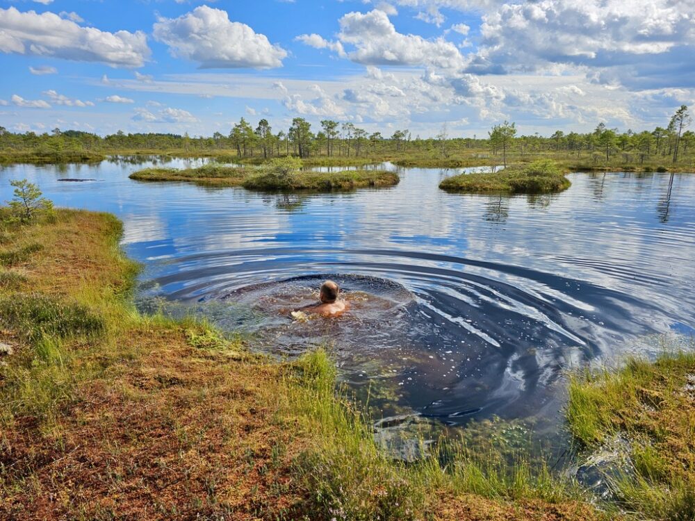 Bogshoeing in the Baltics - Great Kemeri Bog - Swiming in the bog pools