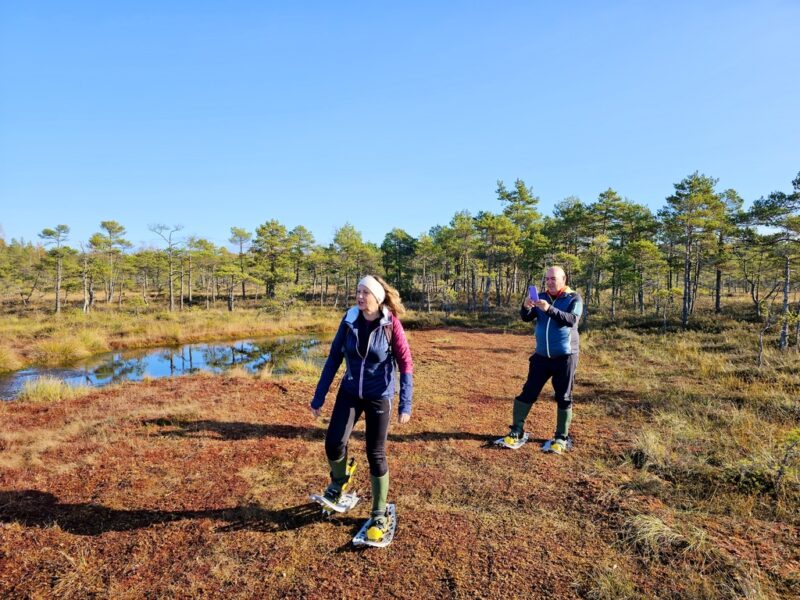 Bogshoeing in the Baltics - Great Kemeri Bog - Baltic nature tour destinations