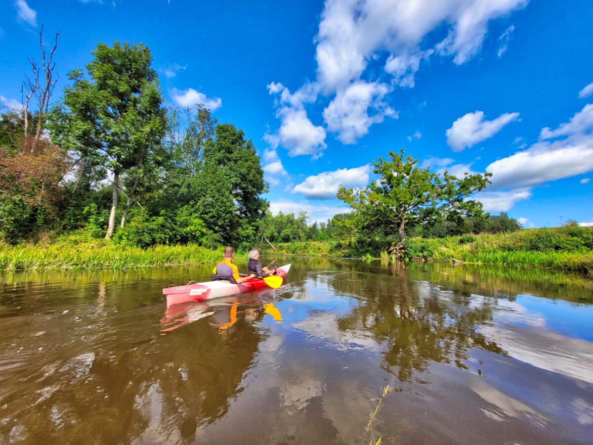 Nature tours in Latvia - Abava